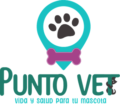Puntovet
